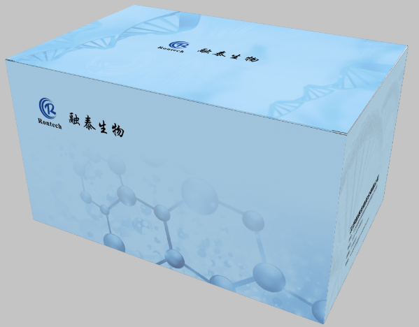 SDS-PAGE蛋白上样缓冲液(5X)